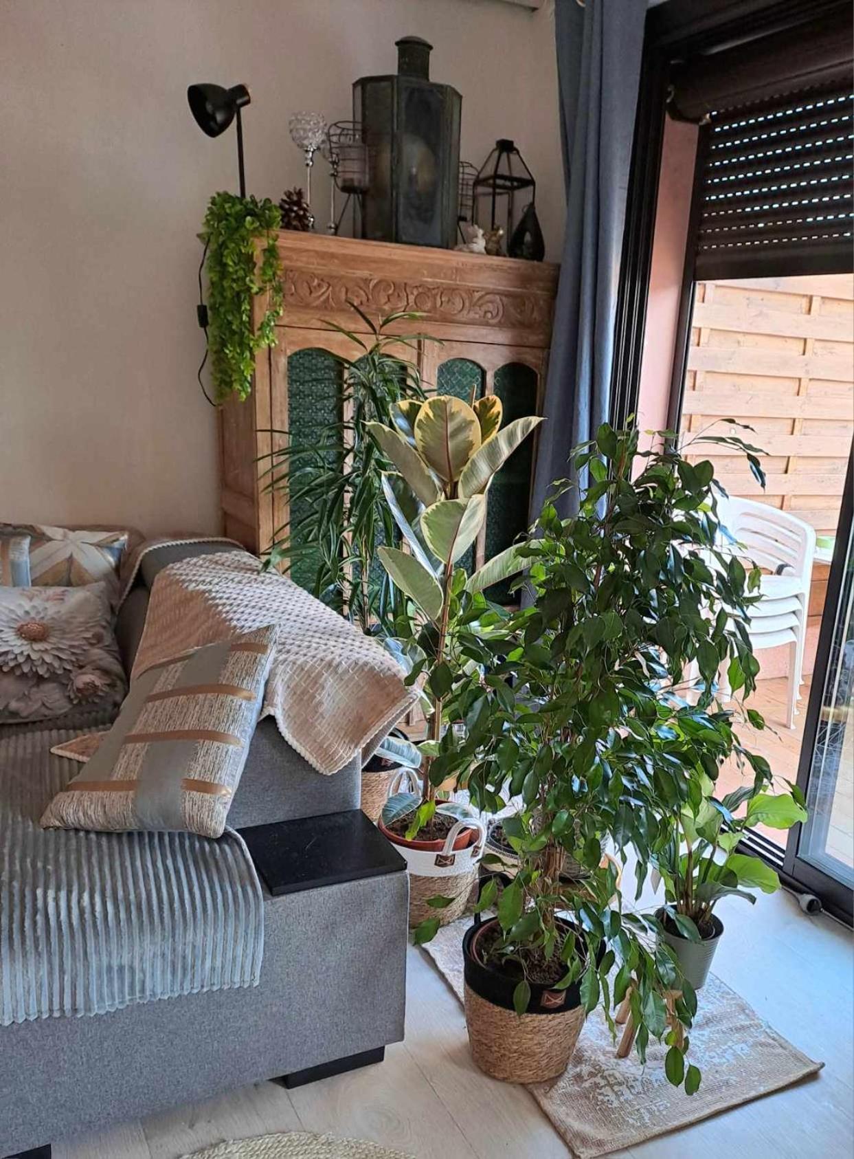 Chambre Appartement Terrasse Fréjus Exterior foto